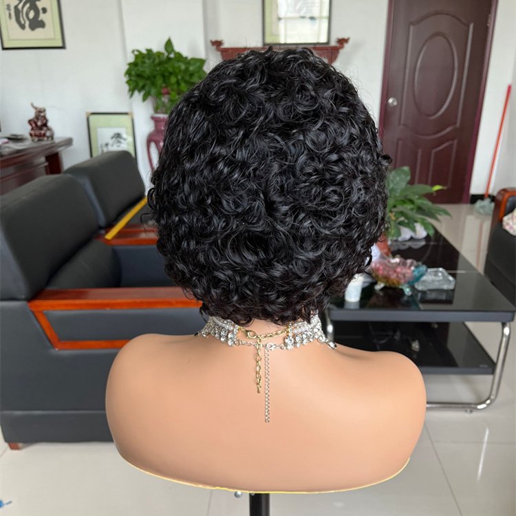Affordable Price Brazilian 13x1 Lace Front Smart Short Pixie Cut Curly Wig Rich Color Pixie Curls Machine Made Pixie Wig