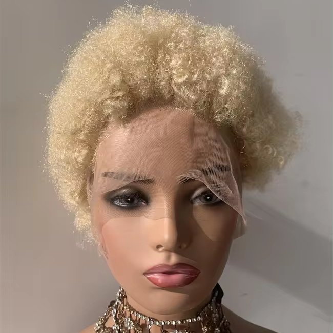 DX087 Wholesale Afro Kinky curl Honey Blonde Curly Short Braided Wig 613 Color HD Full Lace Closure Human Hair short Wigs