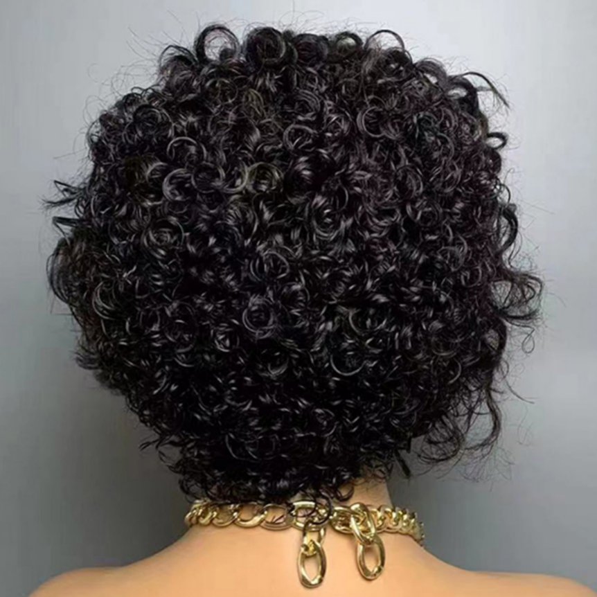 Vendor Short Pixie Curly 13x4 HD Lace Human hair Wig Raw Vietnamese Hair Pixie Cut Human hair HD Lace Front Wig Ready to Ship
