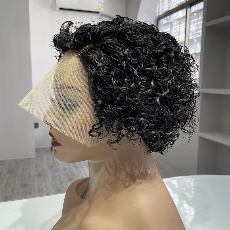 Ruolanni Cheap Price Indian Pixie Cut 13x1 T-Part Transparent Lace Frontal Raw Virgin Human Hair Wig