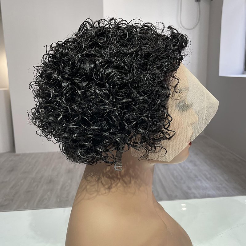 Ruolanni Cheap Price Indian Pixie Cut 13x1 T-Part Transparent Lace Frontal Raw Virgin Human Hair Wig