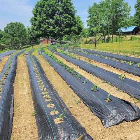 PP woven membrane mulch film weed mat roll anti grass weed control cloth blocker greenhouse ground cover with UV stabilizer