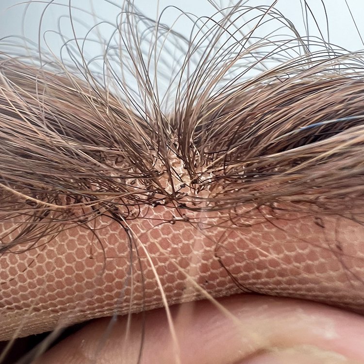 Hot Selling Fashion 100%Human Hair Swiss Lace Base Human Toupee All Made of Hand Wigs for Women