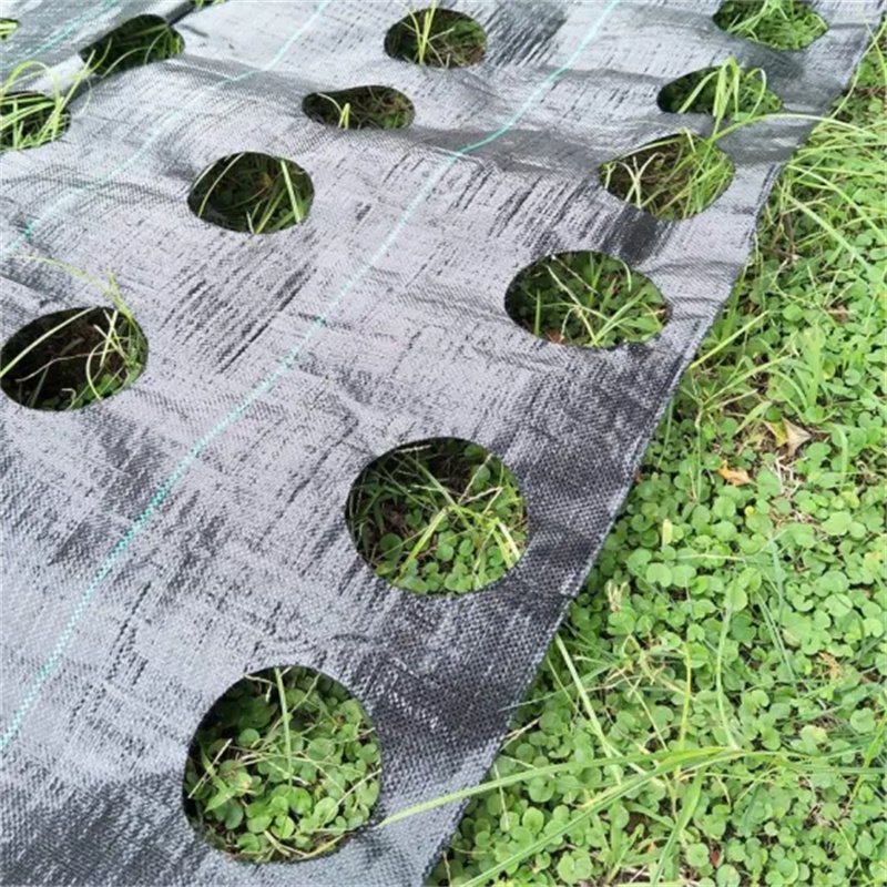100gsm PP Ground Cover Agricultural Landscape Weed Barrier Fabric Sulzer 15x15cm Grid Ground Cover