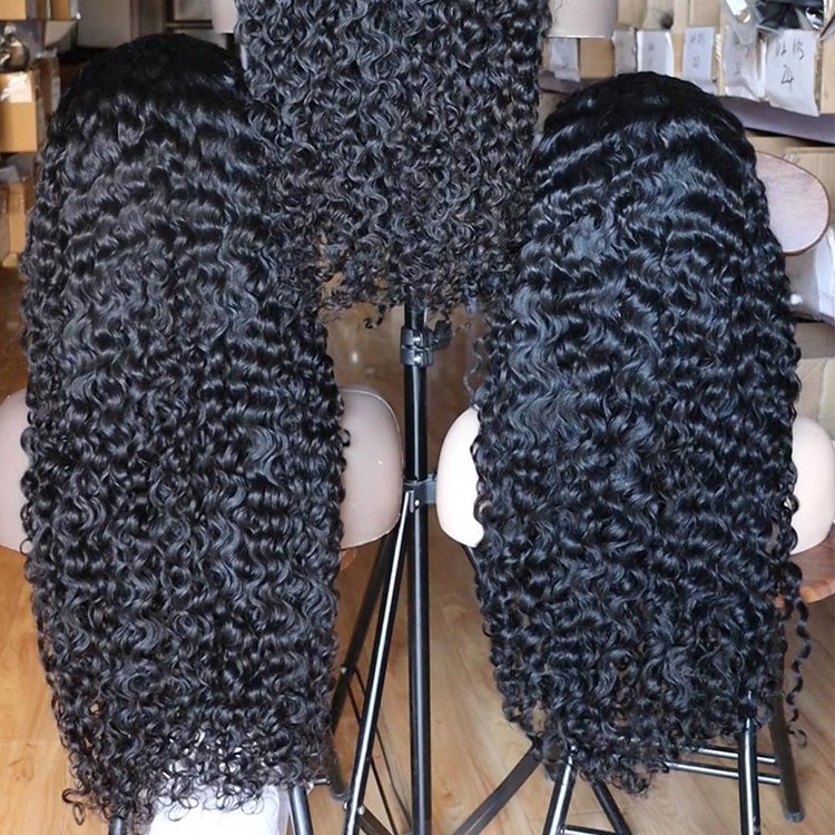 Wholesale cuticle aligned hair wig glueless full hd lace wig Raw Virgin Burmese Curly glueless wigs human hair