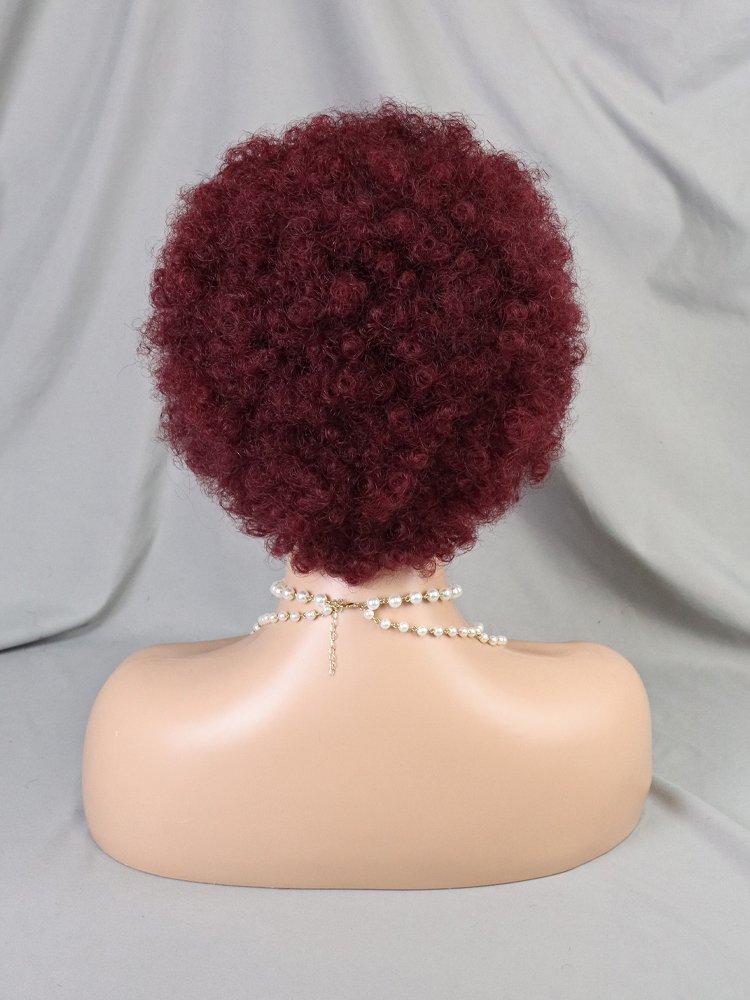 Ready To Ship Color 99j Indian Human Hair Front Bob Wigs Pre Braided Wig African Women 13x4 Lace Frontal Short Curly Pixie Wig