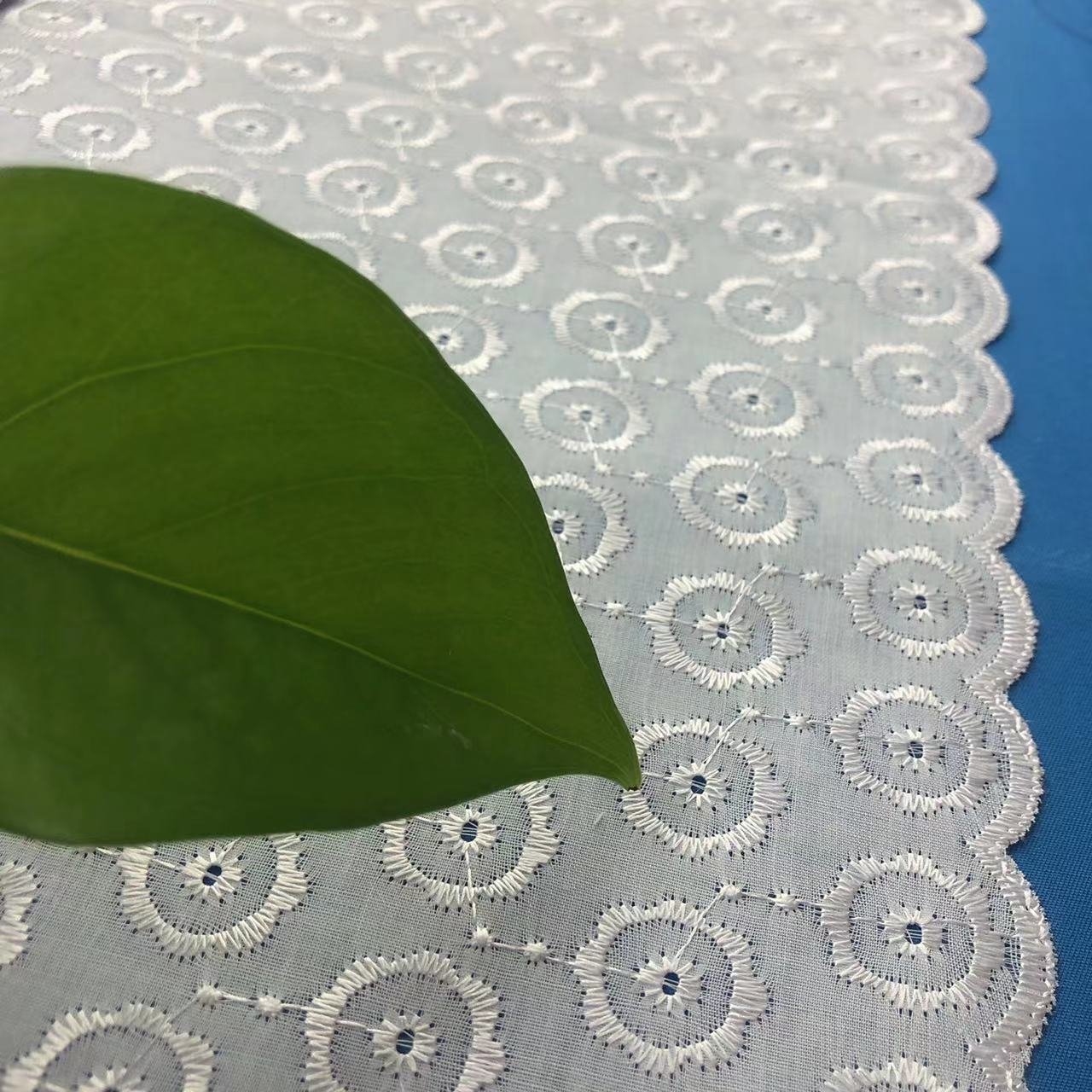 2024 Swiss Cotton Lace embroidery fabric for making dress