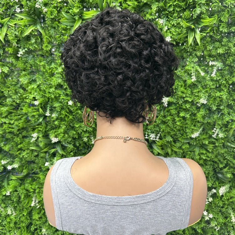 Pixie Cut Wigs Short Curly Lace Front Human Hair Wigs For Women Brazilian 13x1 Transparent Lace Wigs
