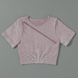 T2-light-purple