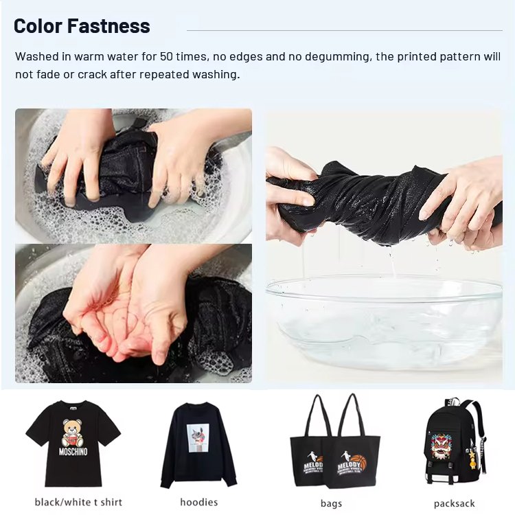 Mycolor PET Film T-shirt XP600 13Inch 30cm A3 DTF Printer Fabric Garment Tshirt DTF Transfer Printing Machine for Small Business