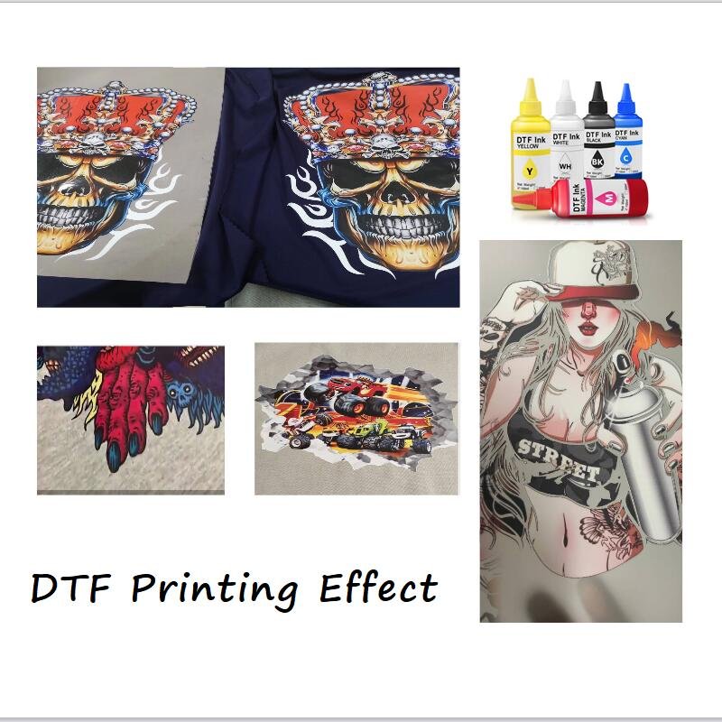 Ocinkjet Premium 250 ML Tshirt DTF Ink For Epson PET Transfer Film Printing DX5 5113 L1800 L805 DTG Prier
