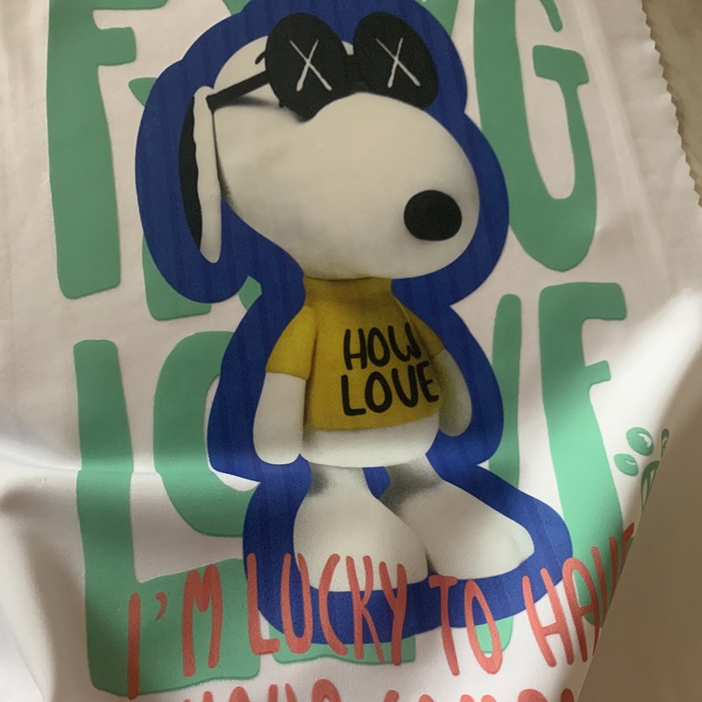 2024 Custom Brand Plastisol Transfer DTF Print Sticker Transfer Printing Heat Transfers Label for T-Shirts