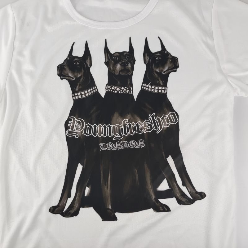 Xinyida Luminous Heat Transfer Printing Pet Film A3 Cold & hot Peel Inkjet Printer Pet Transfer Dtf Film