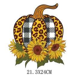 29
