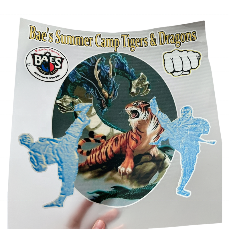 Wholesale custom printable plastisol vinyl film designs sticker logo dtf heat transfer designs for t shirts