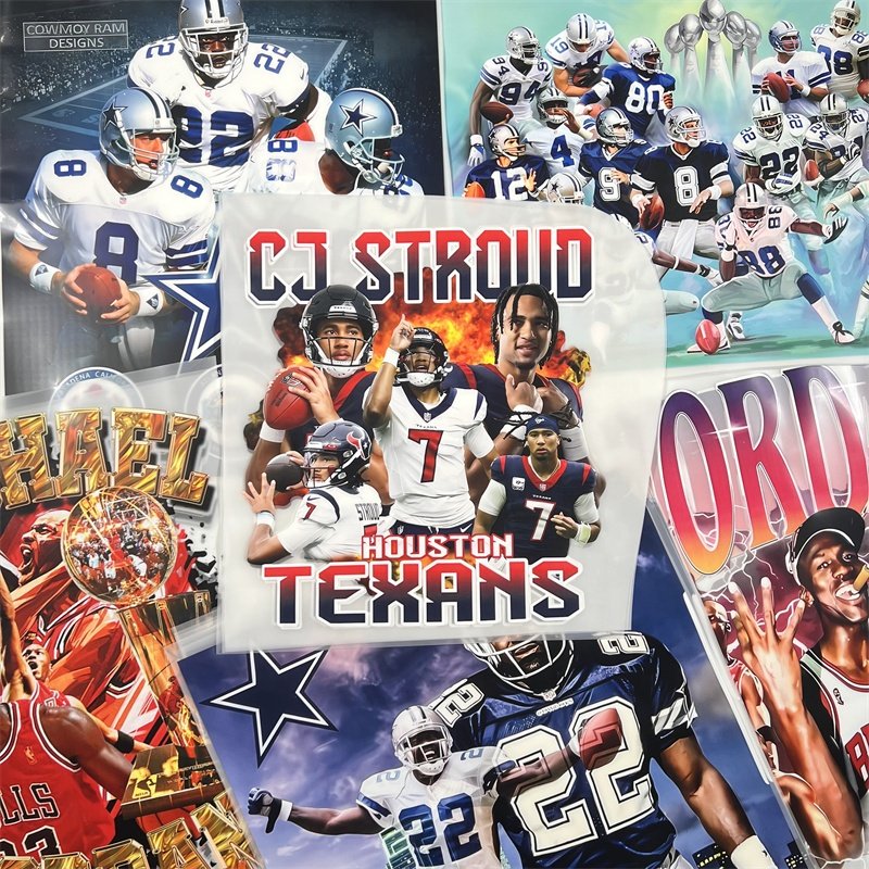 NFL team design Custom Heat Transfer Film Designs Dtf Transfers Ready to Press Logo Heat Transfer Sticker Iron On Garments