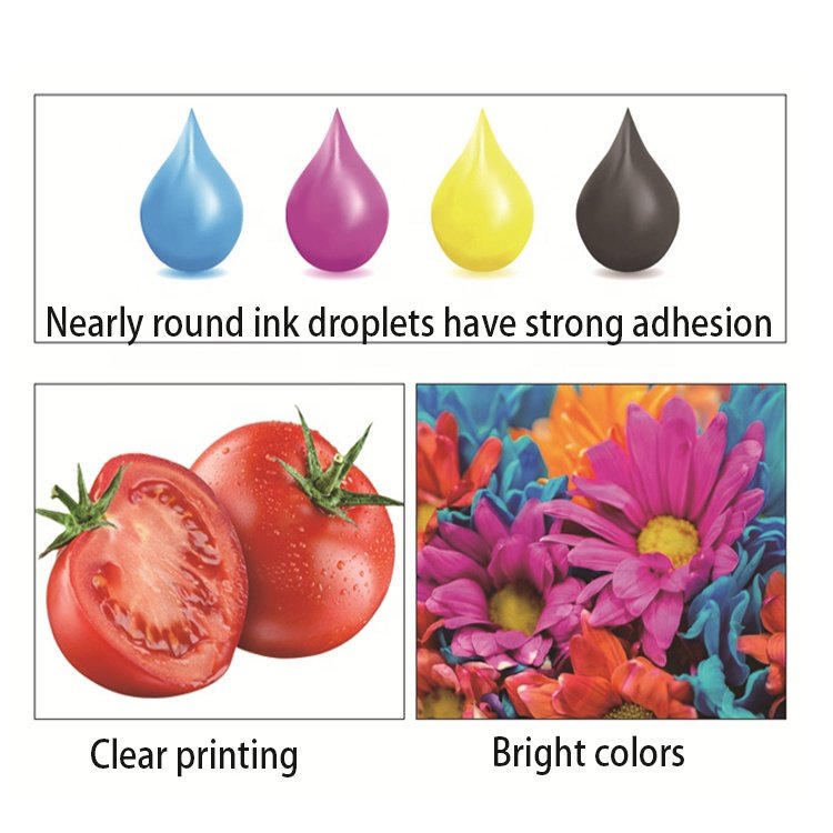 UV DTF Printer Ink Varnish UV Ink Direct Transfer Printing A-B PET Film Ink for Crystal Label Sticker Printing 32oz / bottle