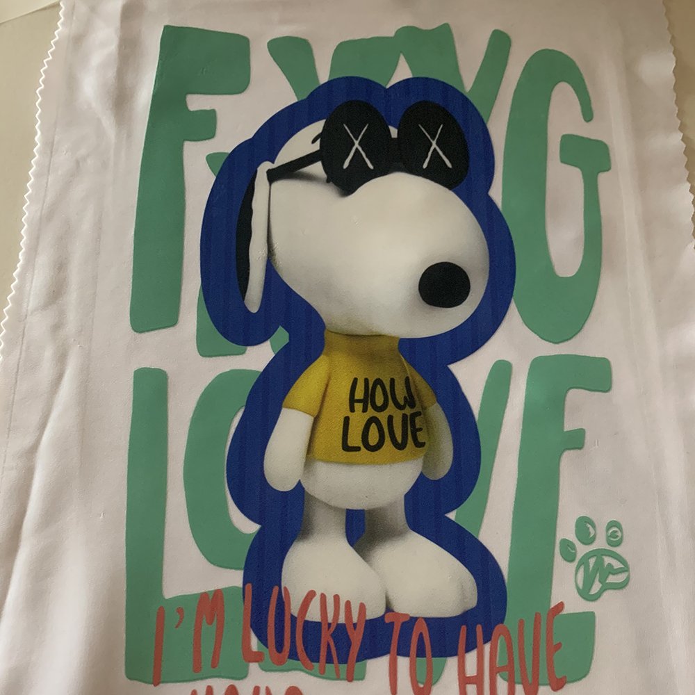 2024 Custom Brand Plastisol Transfer Sticker Transfer Printing Heat Transfers Label for T-Shirts