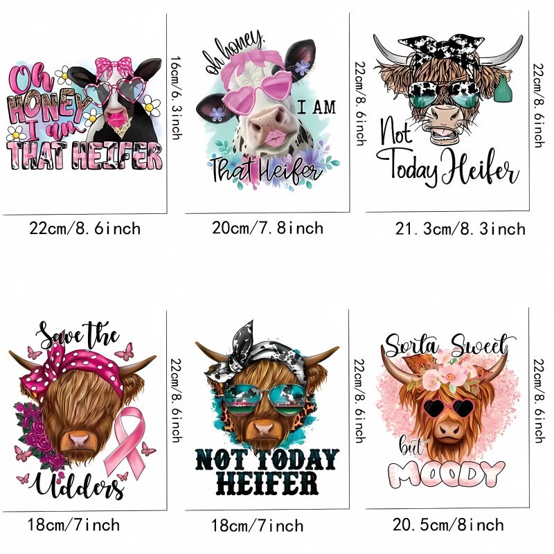 Customized Heat Stickers With Vinyl Application Diy Stickers For Clothing Transfer Printing Iron DTF Thermal Transfer Sticker