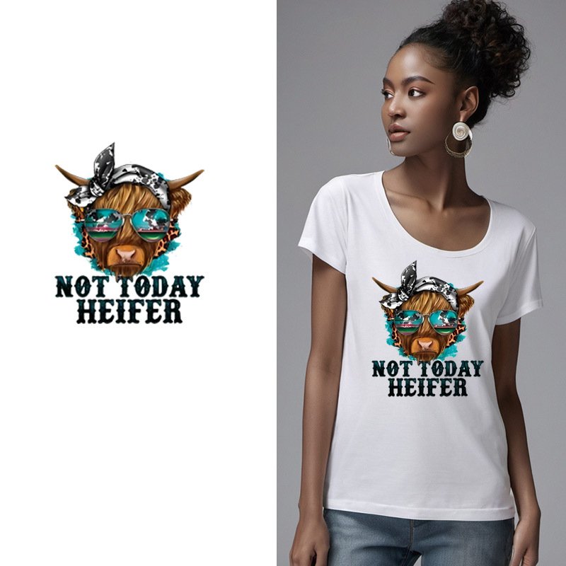 Customized Heat Stickers With Vinyl Application Diy Stickers For Clothing Transfer Printing Iron DTF Thermal Transfer Sticker