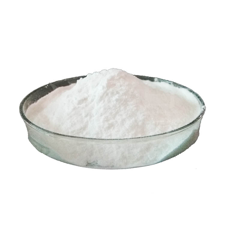 Pet Heat Transfer Film Printing Offset Heat Transfer Direct Injection Paint White Ink Printer