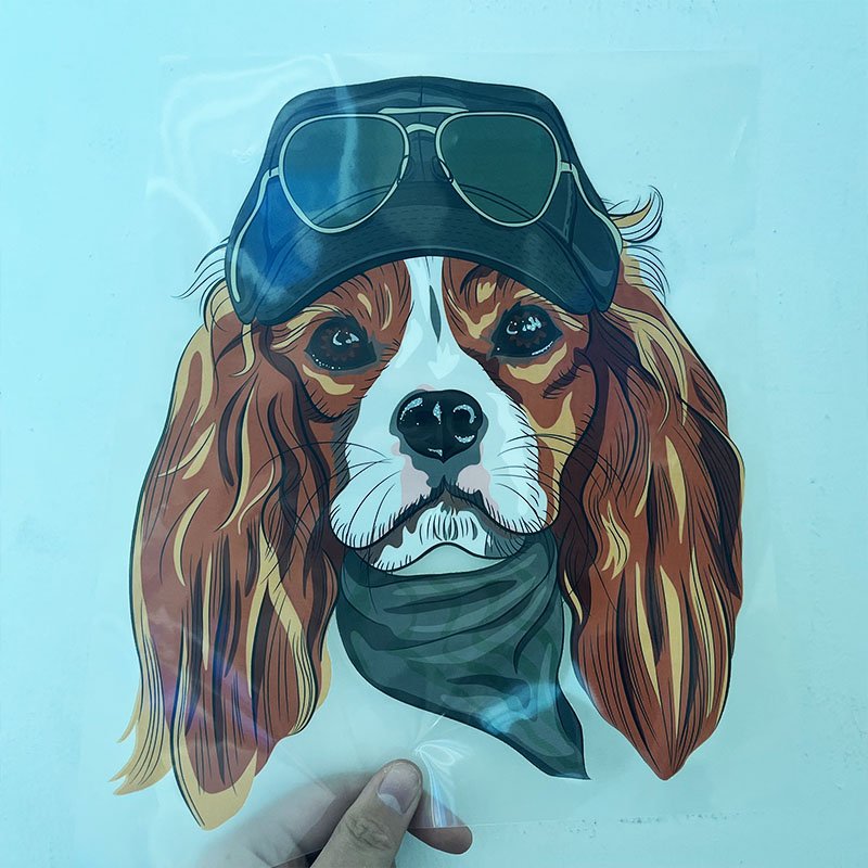 XinHeng Custom Dtf Heat Transfer Printing Screen Print Vinyl Plastisol Heat Transfer for Iron on T-shirt