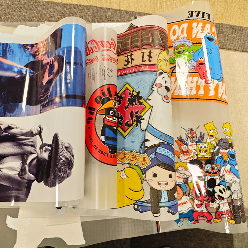 Factory Heating Transfer Printing for T-shirt Shoes Bags Customization by xp600 i3200 DTF 30 60CM printers