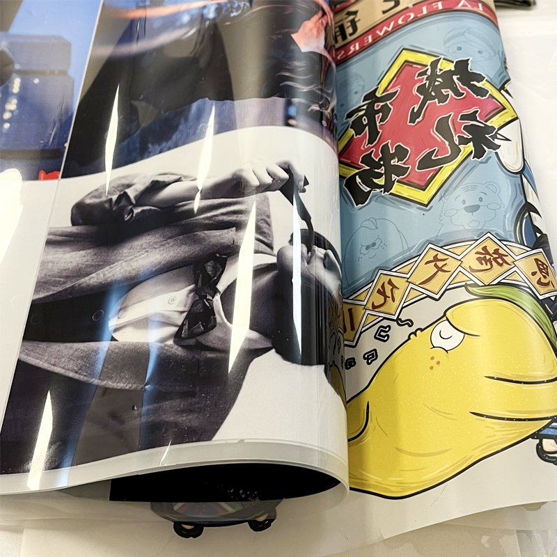Factory Heating Transfer Printing for T-shirt Shoes Bags Customization by xp600 i3200 DTF 30 60CM printers