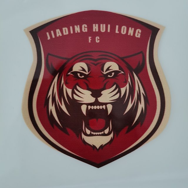 XinHeng 3D Silicone Heat Transfer Film Printing Label for Clothing Heat Transfers Sticker