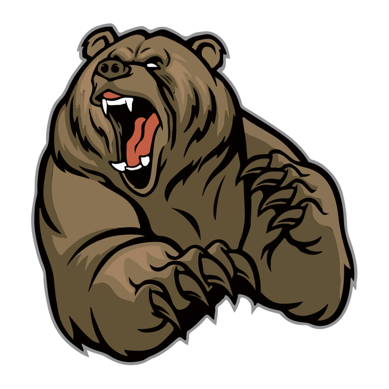 Custom Dtf Designs Bear Stickers Iron on Transfer Print on T-Shirt Dollar Heat Transfer on Clothing Labels Custom Black Logo