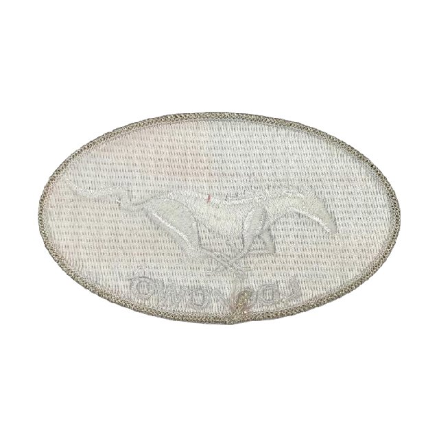 Custom woven heat transfer printing embroidery patch