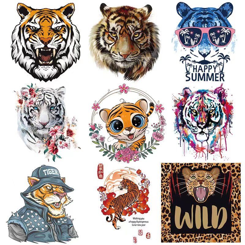 Popular Design Men's and Women's Clothing T-Shirt Heat Transfer
