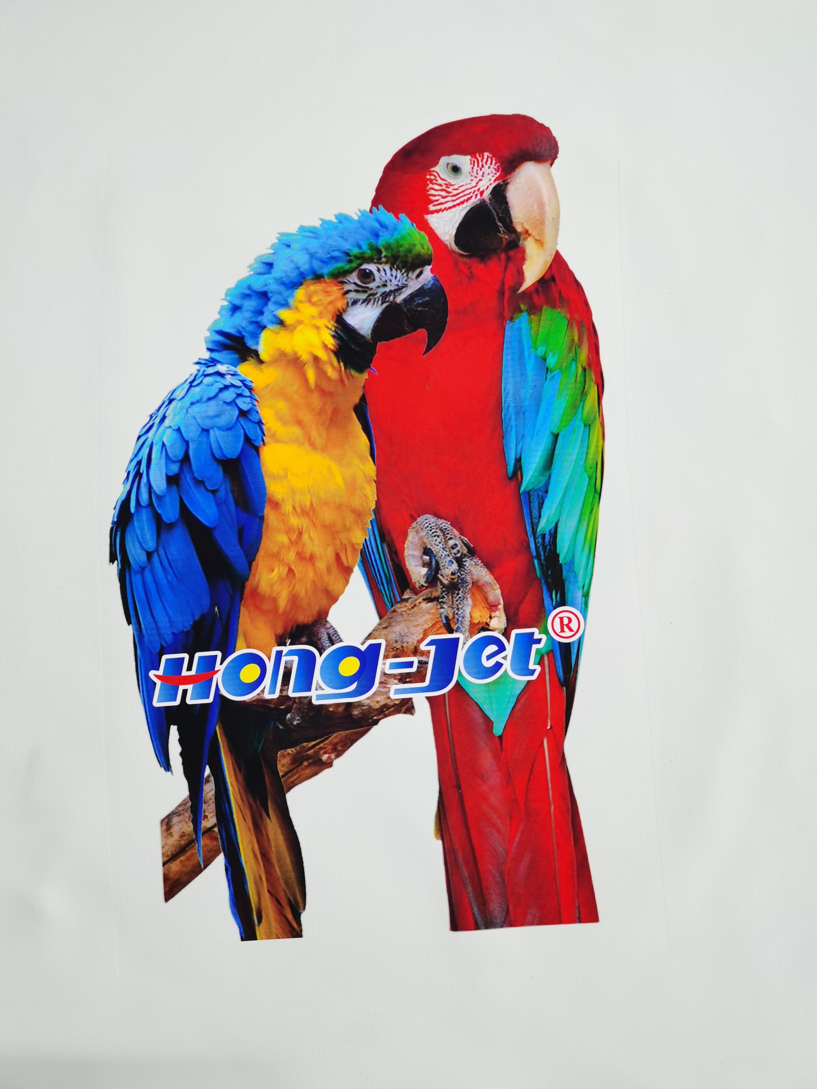 HONGSAM DTF printing with DTF INK POWDER Hot Cold peel transfer film for Epson L1800 P600 P800 DTF printing T-Shirts