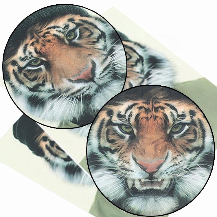 Heat Transfer Printing Clothing Labels Wholesale Custom Design Logo Soft Flexible TPU Patches with 3D Lenticular Sheet