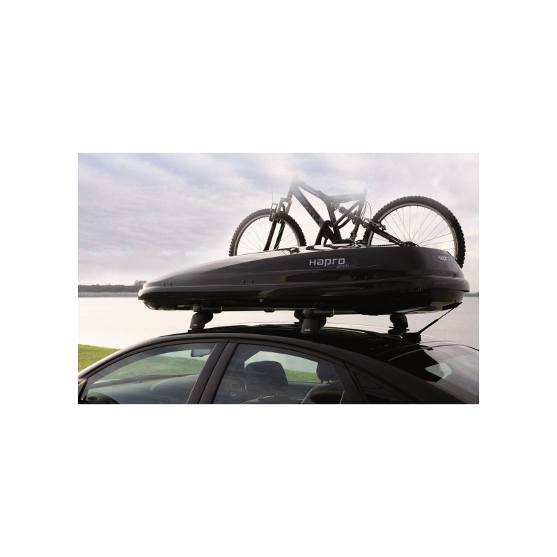Austrian Supplier Custom High Stretchability Transfer Printing Lettering For Automotive Roof Boxes
