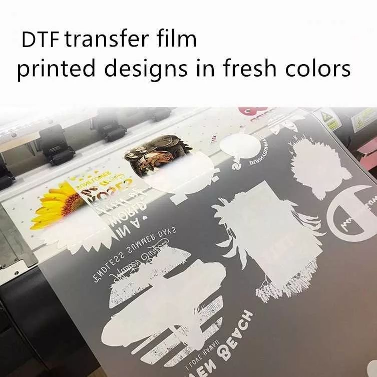 A3 A4 Transfer Film Cold Peel 30cm 33cm 60cm Hot Peel Non-Slip DTF PET Film Roll For DTF Printing On Cotton T-shirt
