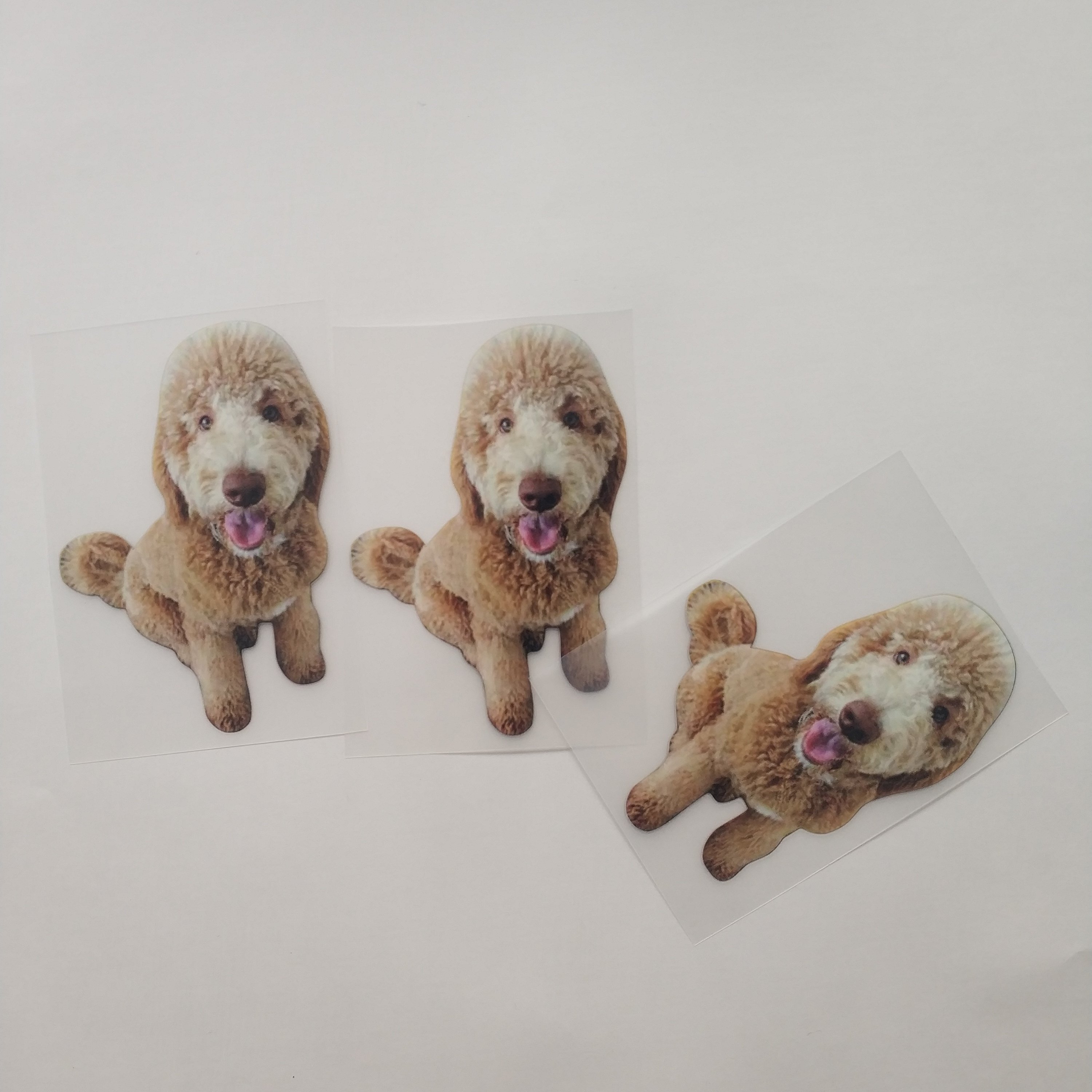 Factory Customization Design Fabric Heat Transfer Printing for Clothing Sticker