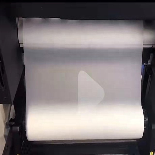 A3,A4 sheet,30cm roll DTF Printer/DTF Film Printer