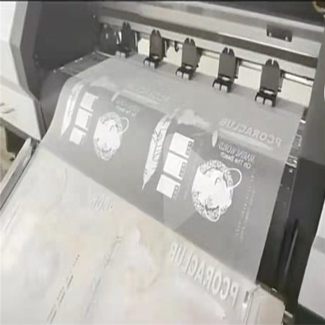A3,A4 sheet,30cm roll DTF Printer/DTF Film Printer