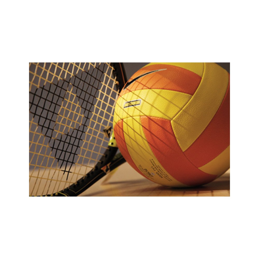 Austrian High End Price High Abrasion Resistance Transfer Printing DTF For Lettering For Sport Equipment