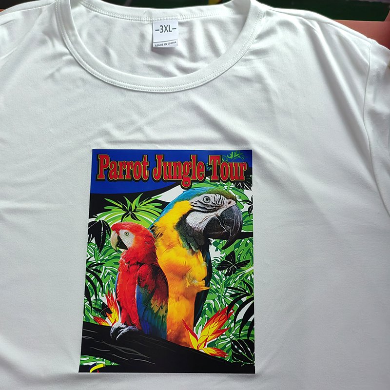 Custom Full Colors Clothing Plastisol stickers Heat Transfer Printing Label