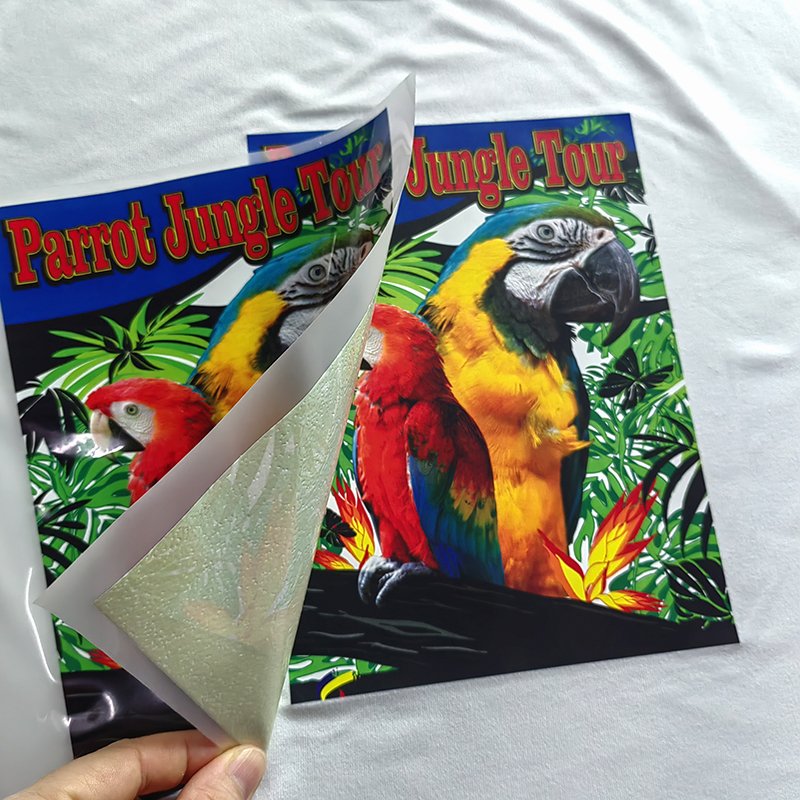 Custom Full Colors Clothing Plastisol stickers Heat Transfer Printing Label
