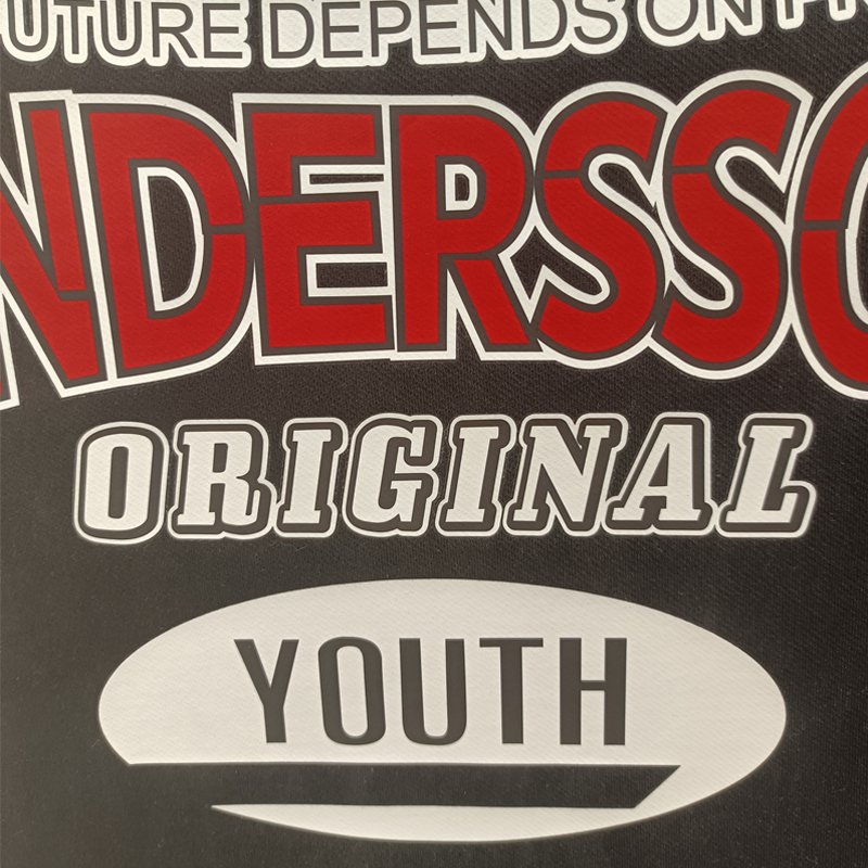 2025 new style lower price New design fashion letter custom heat transfer printing vinyl for t shirt garments hoodies