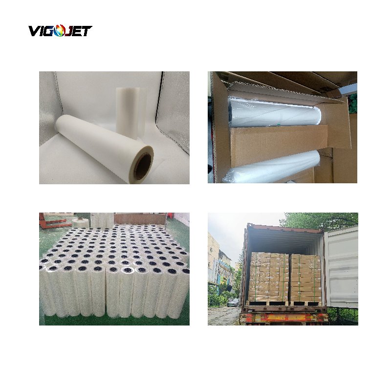 VIGOJET China factory high quality film printed by DTF printer two size 30cm 60 cm for digital printing by ps