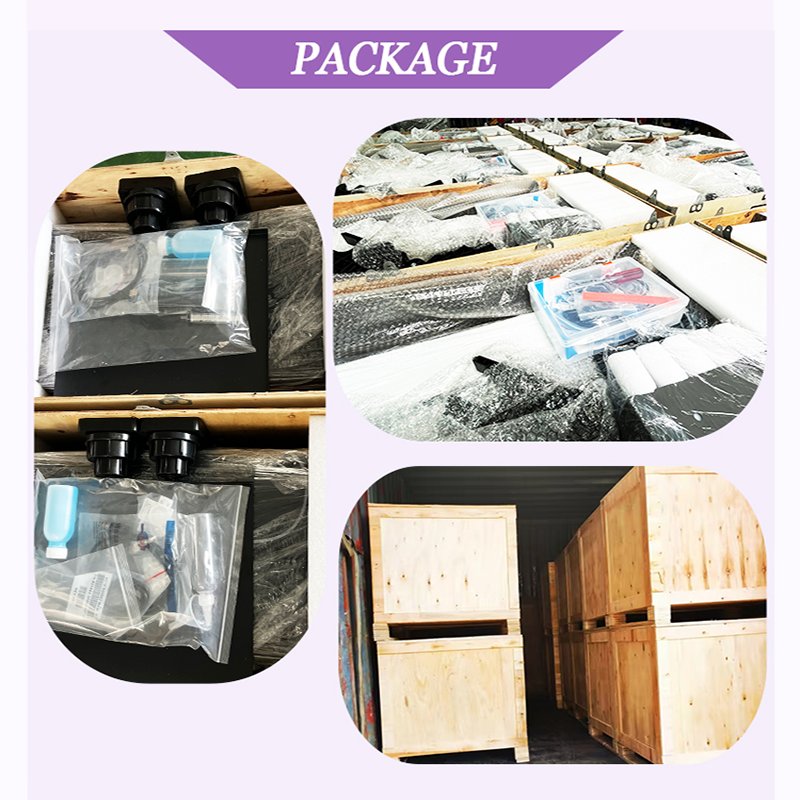 DTF printer Epson printhead printing machine I3200 XP600 Inkjet Printer 30cm 33cm 13inch with DTF OVEN
