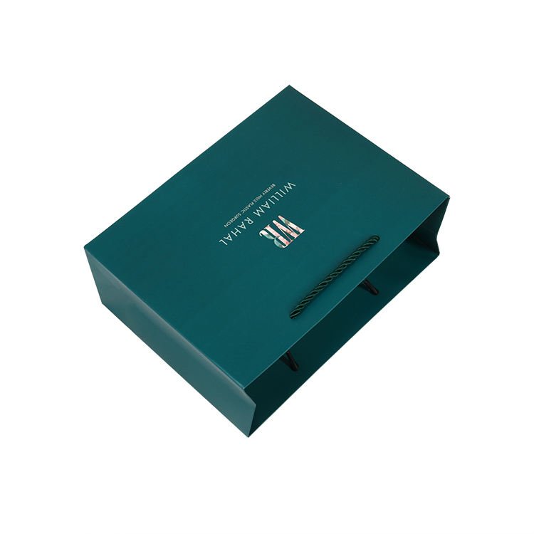 Wholesale Custom Printed Brand Logo Design Promotion Luxury Clothing Retail Gift Shopping Jewellery Paper Bag With Handle
