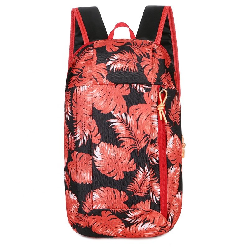 2024 Fashion Waterproof Outdoor 10 L Mountaineering Shopping Backpack For Boys And Girls Mountaineering Camping Cycling Bag