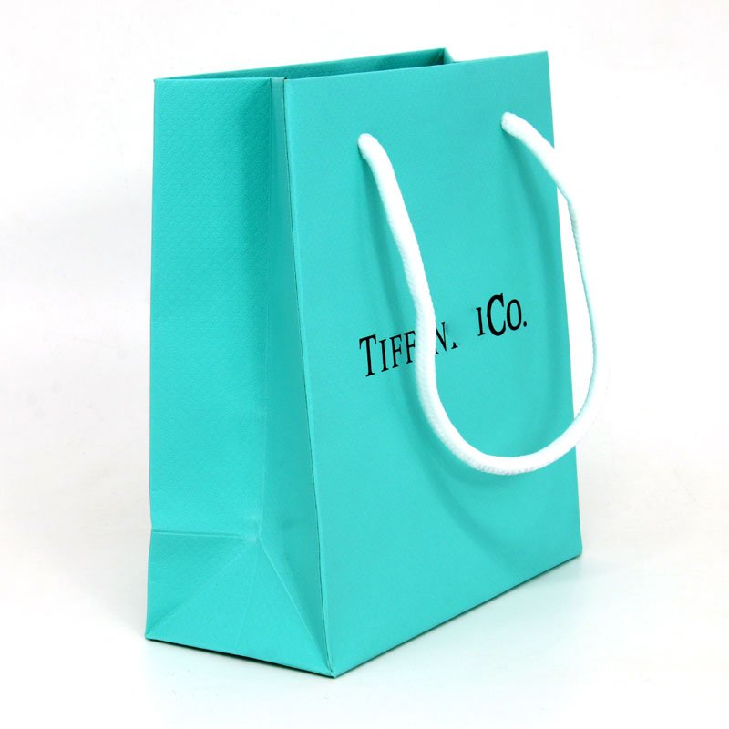 Custom Logo Printed Eco Ribbon Handle Clothing Paper Bag Gift Shopping Bag Paperbag