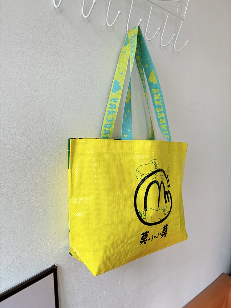 Hot Sale Custom Printed Recycle Reusable Pp Laminated Non Woven Tote Shopping Bags Fashion Woven Shopping Bag