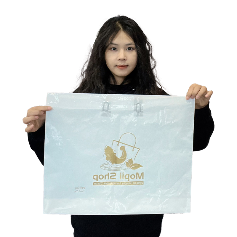 Hot sell high quality handle plastic packaging bag for clothes shopping bags with logos